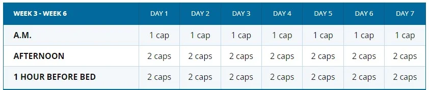 Bioptimizers In 3rd week